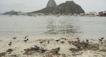 Humanidade aumenta degradação do planeta Terra
